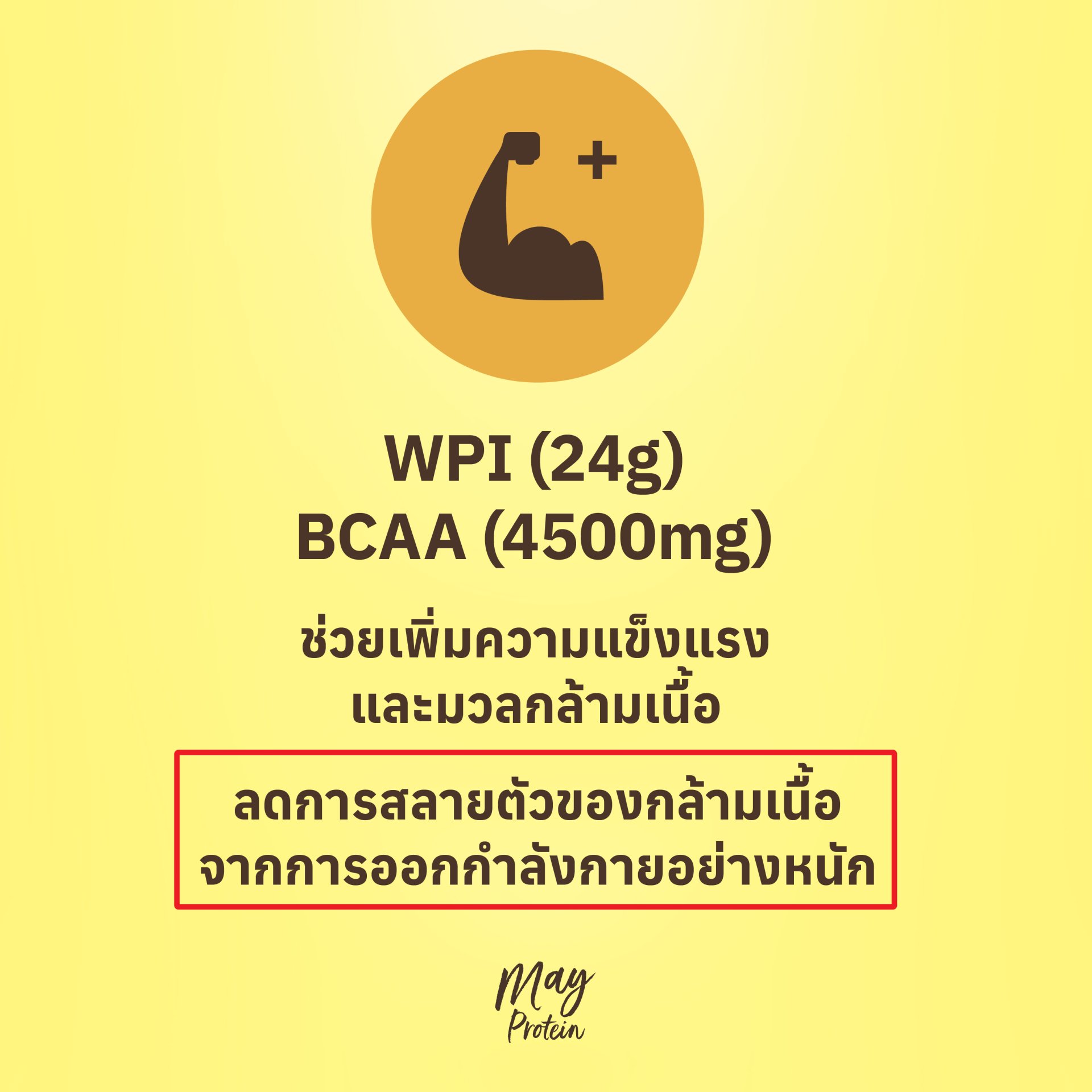 Whey Protein Isolate