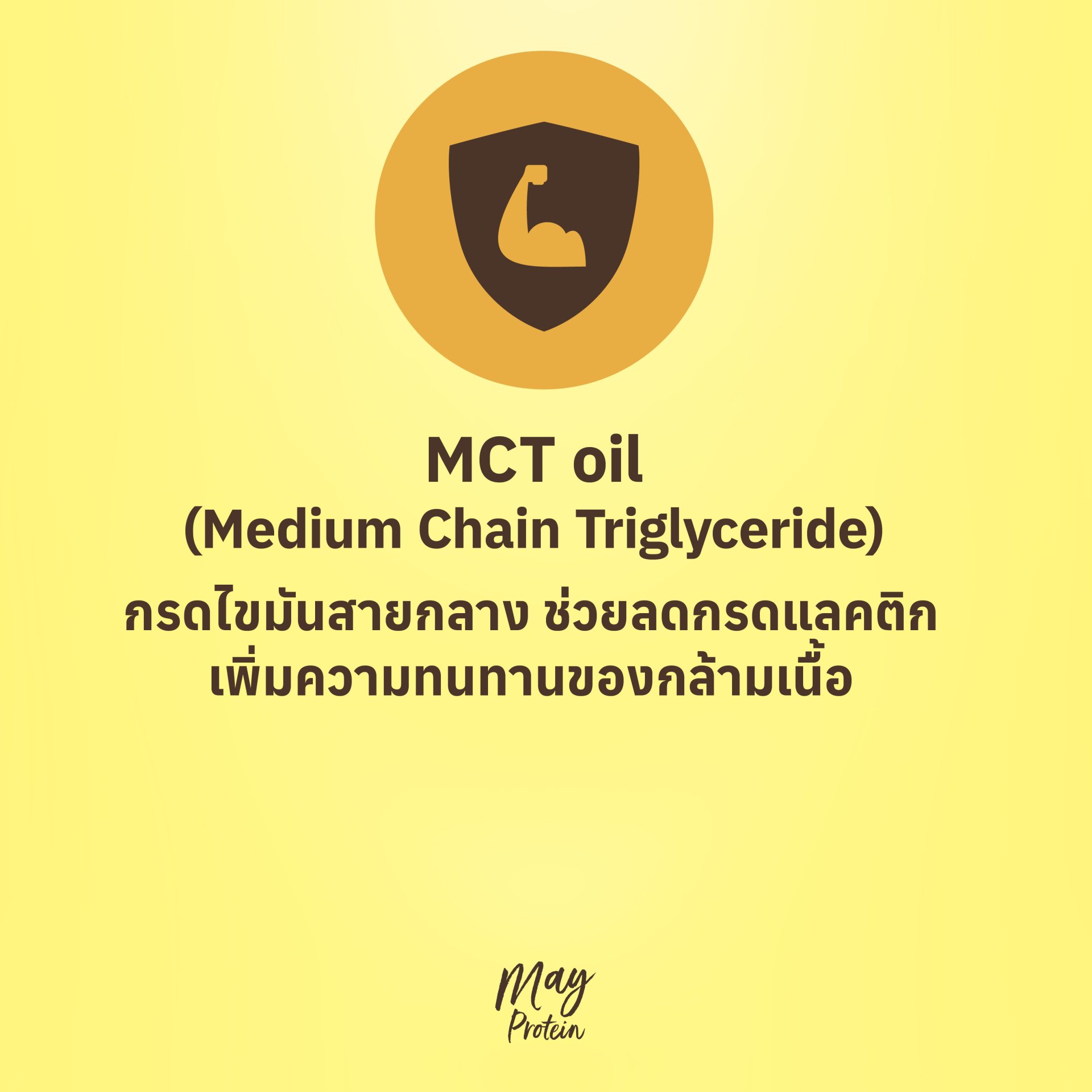 MCT Oil