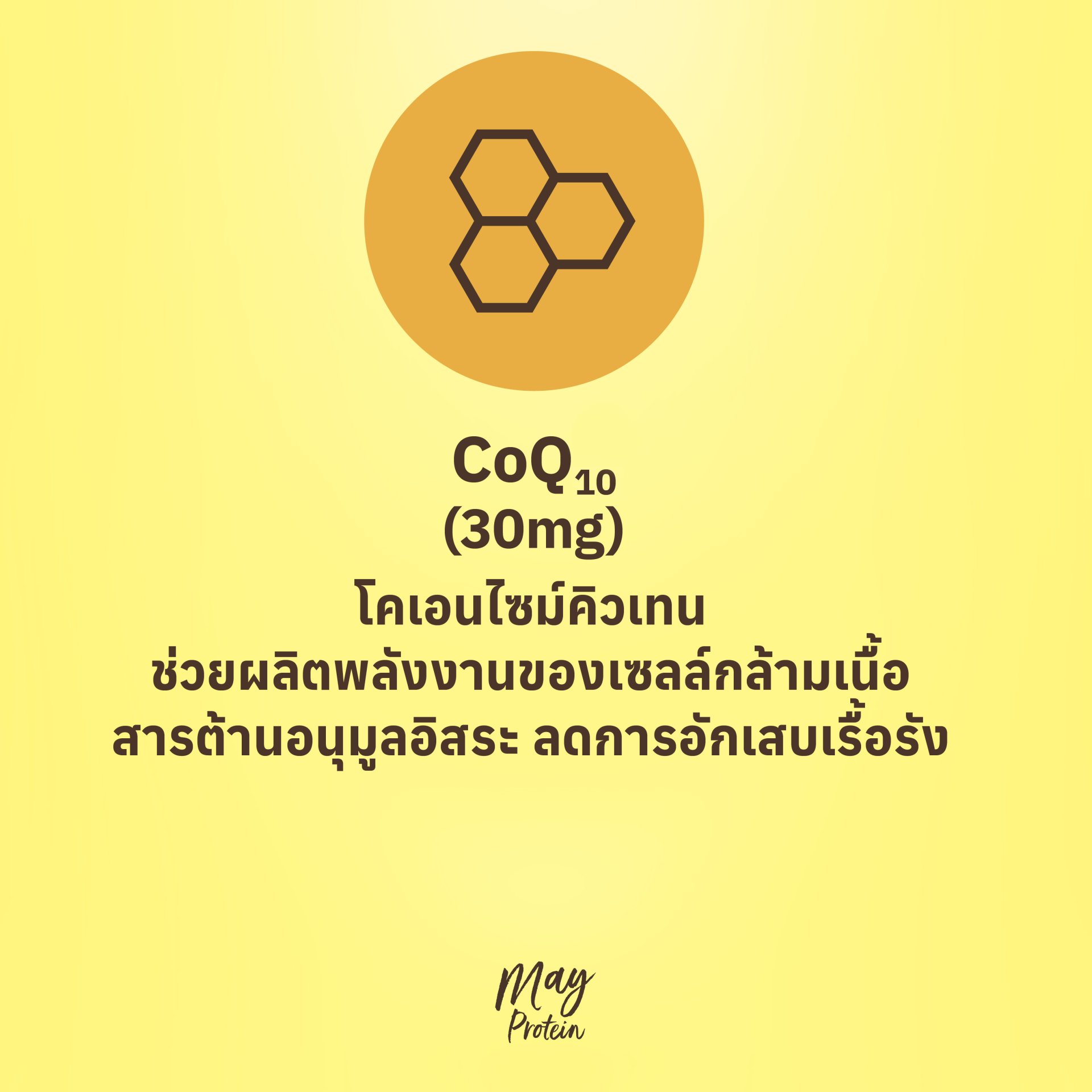 CoQ10 โคเอนไซม์คิวเทน