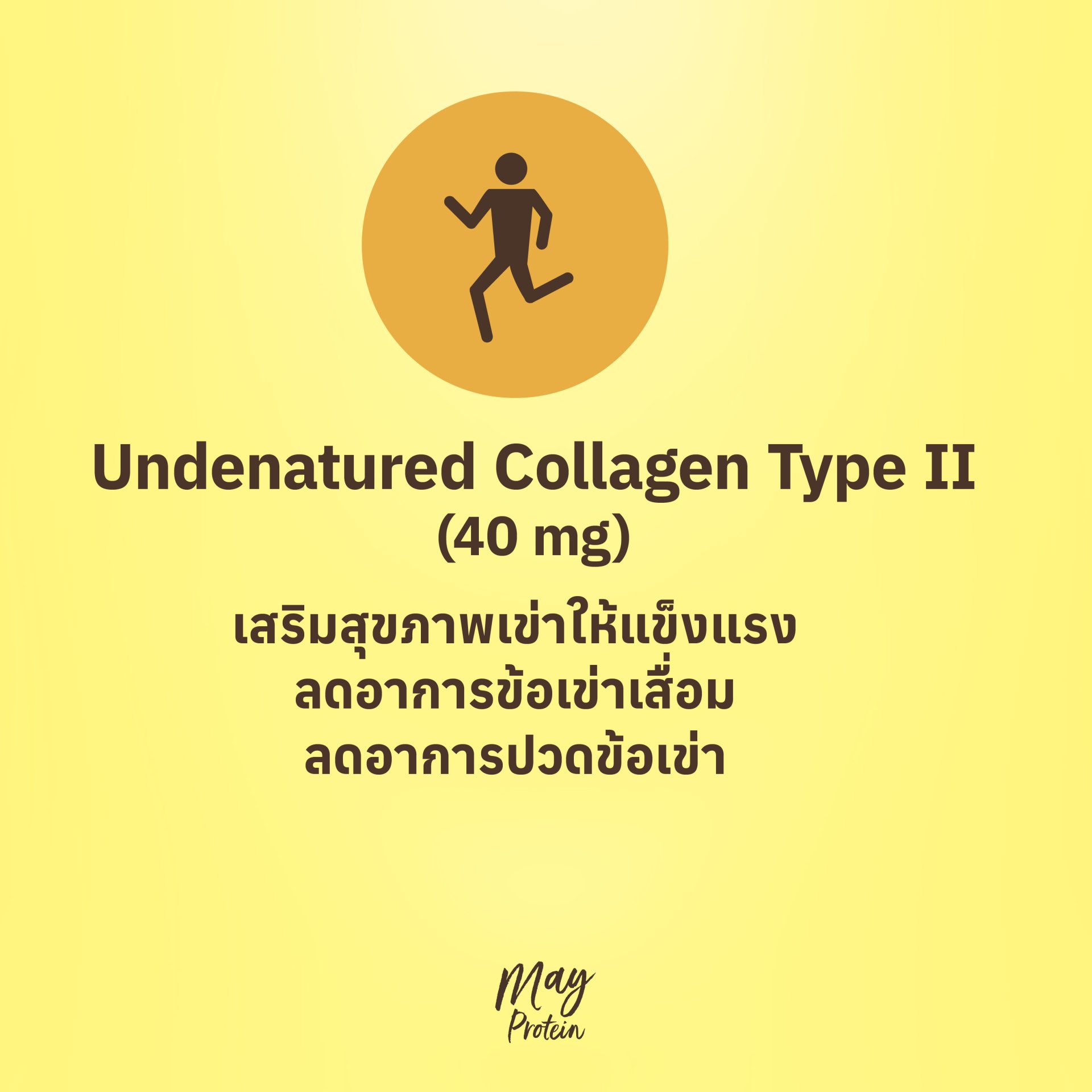 Undenatured Collagen Type II คอลลาเจน