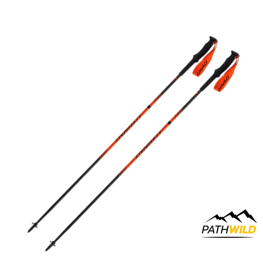 DYNAFIT ALPINE POLE