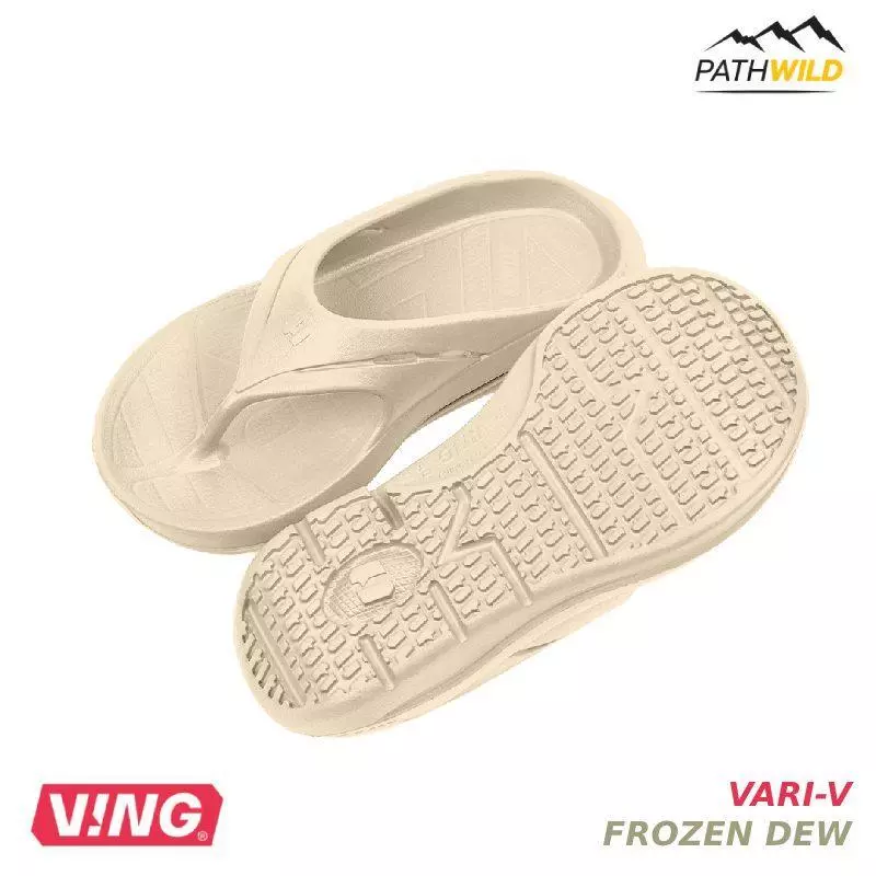 VING VARI-V    RECOVERY