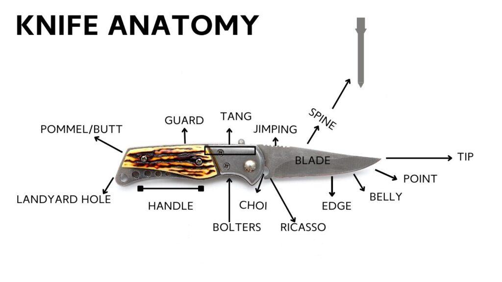 มีดเดินป่า มีด Survival โครงสร้างของมีดเดินป่า